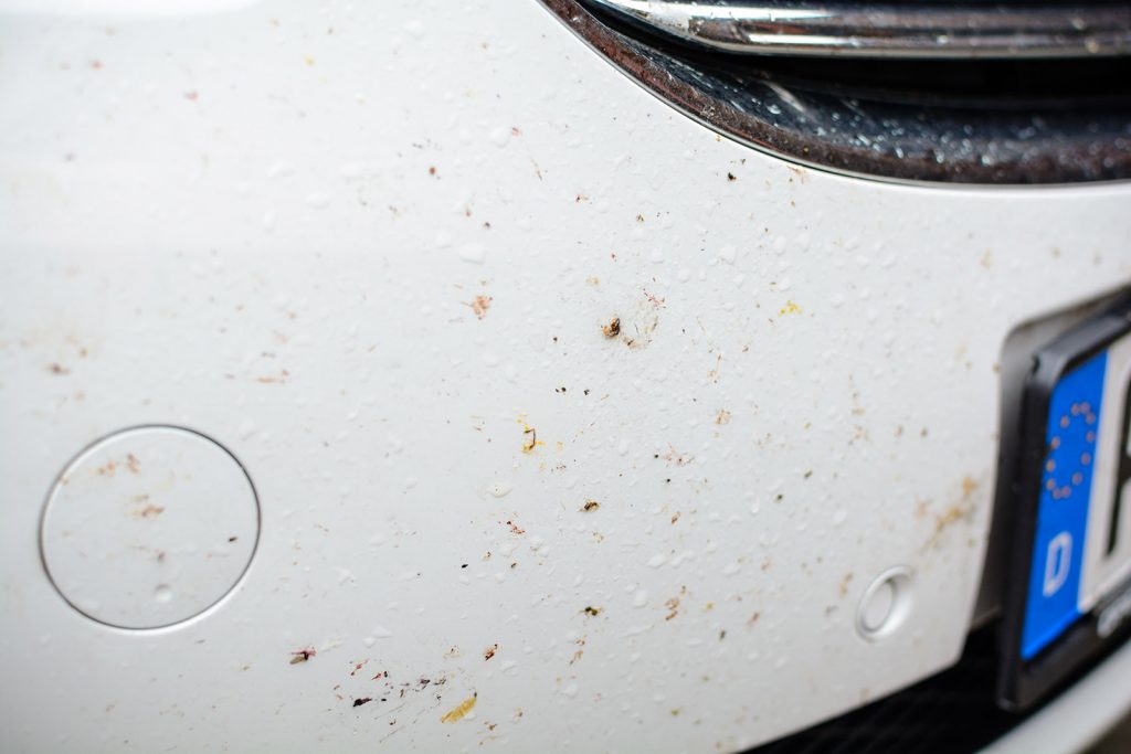 bugs splattered on a car's front bumper
